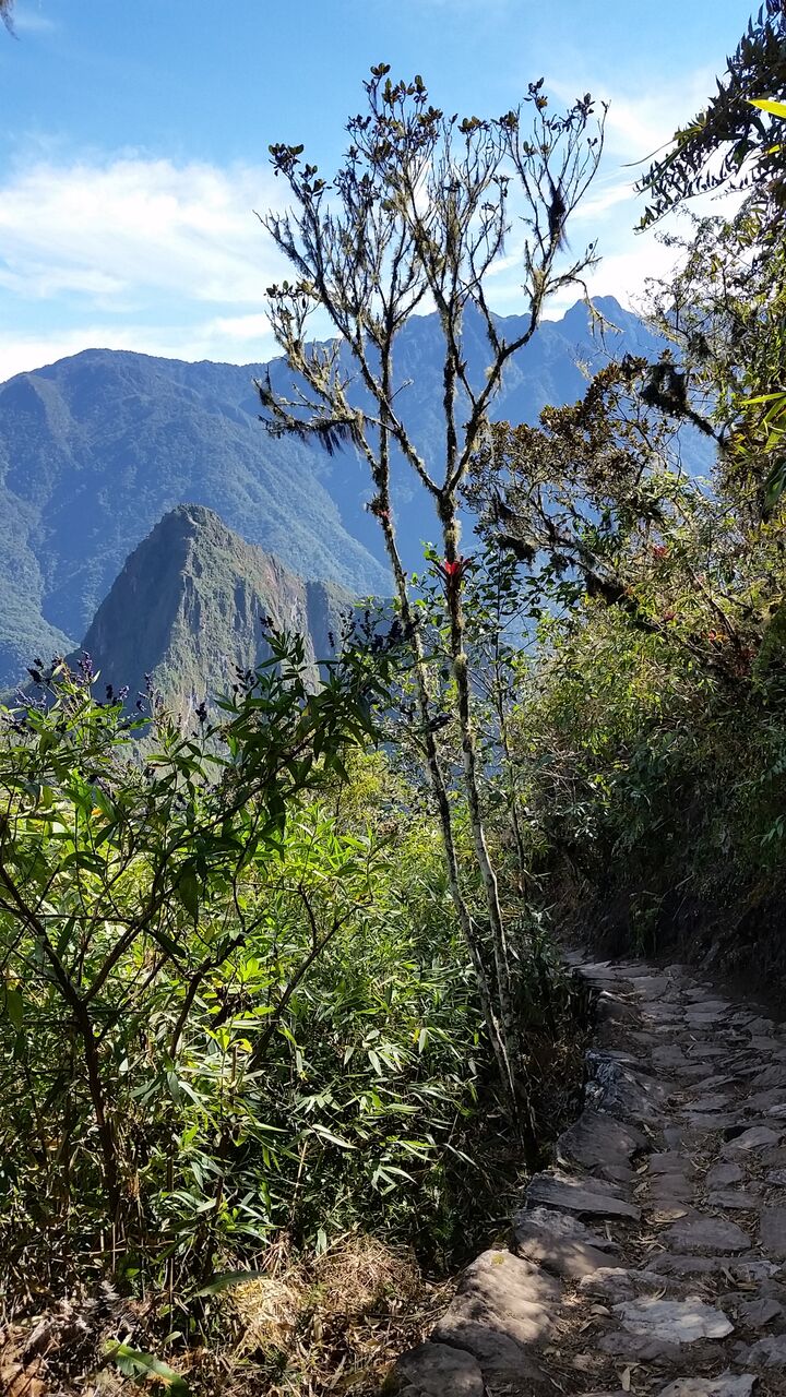 backpackbudget_MachuPicchu3