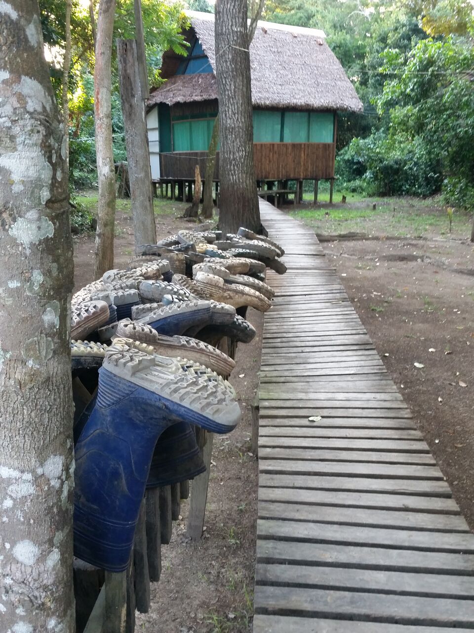 Boots for Anaconda Hunt