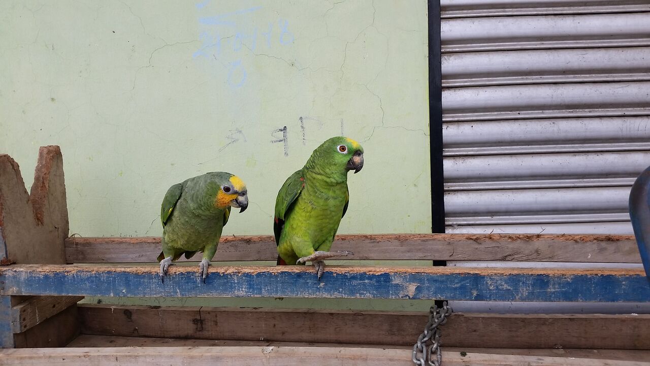 backpackbudget_rurrenabaque