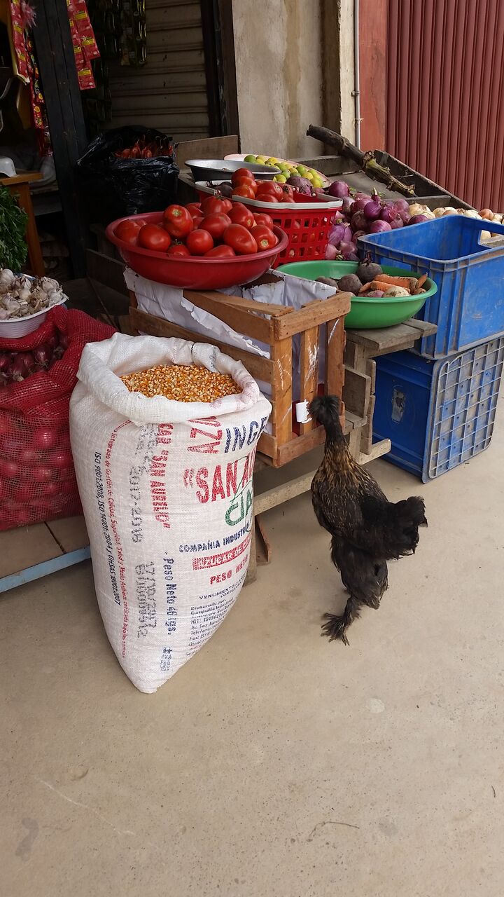 backpackbudget_rurrenabaque21