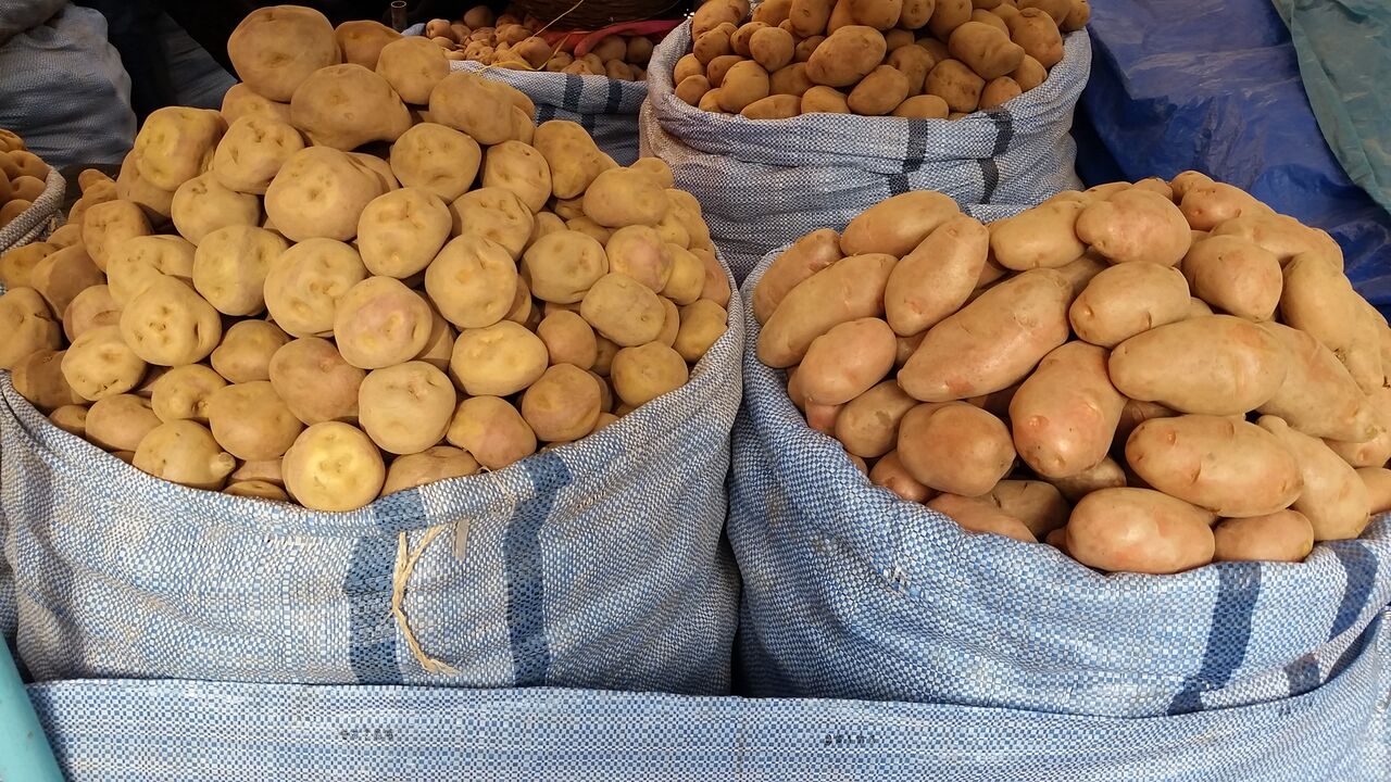 backpackbudget_sucre10