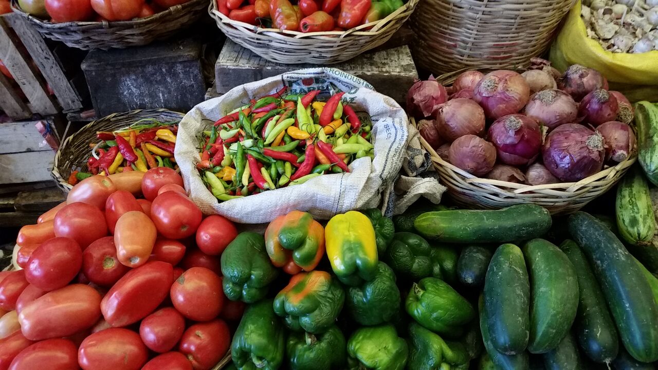 backpackbudget_sucre11