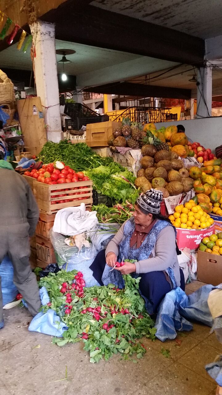 backpackbudget_sucre12