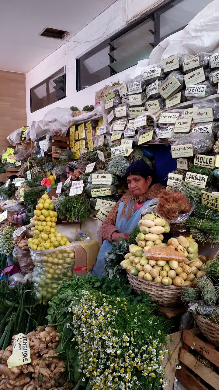 backpackbudget_sucre9