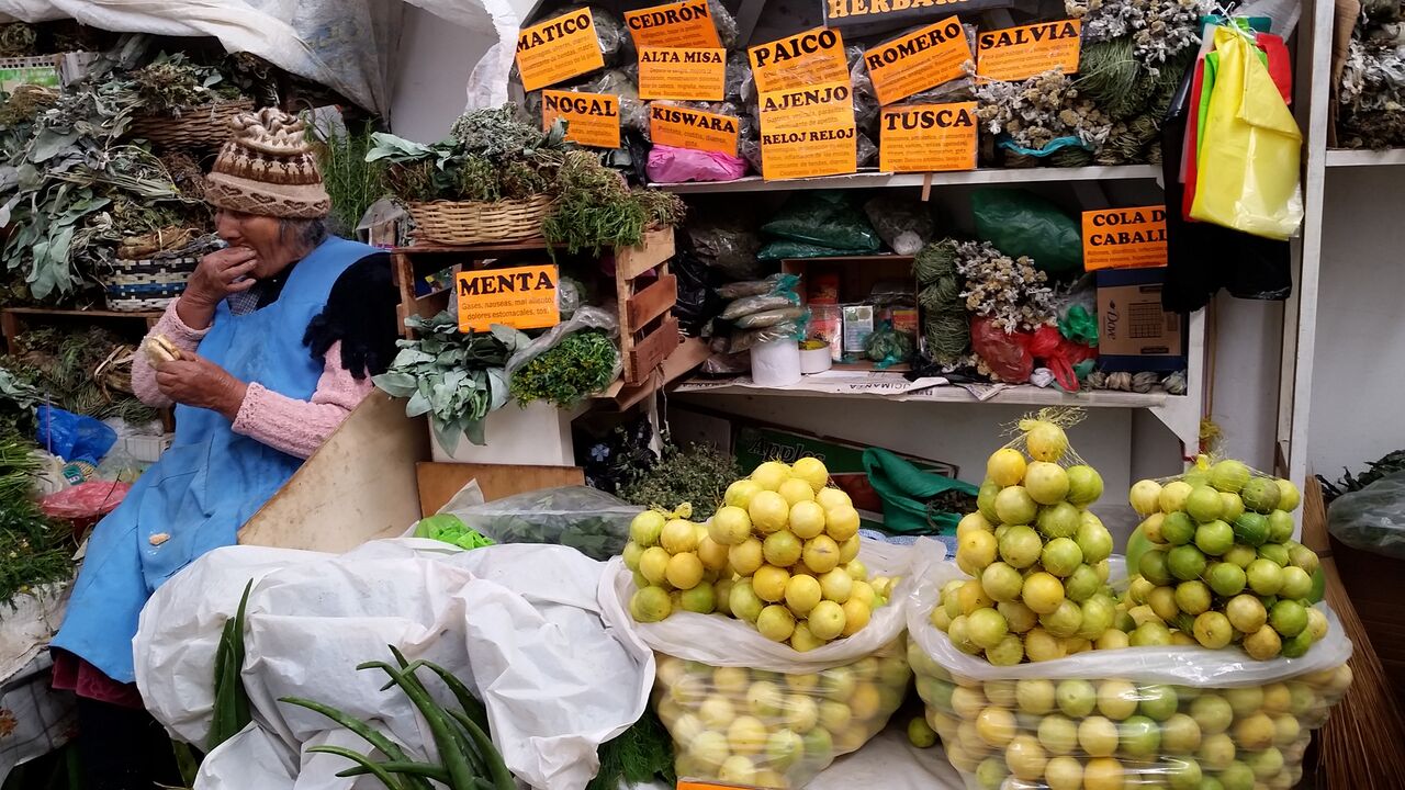 backpackbuget_sucre13