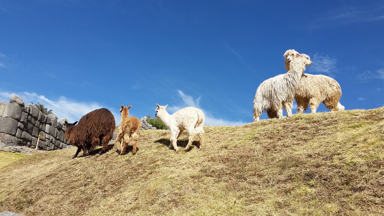 budgetbackpack_cityruins6