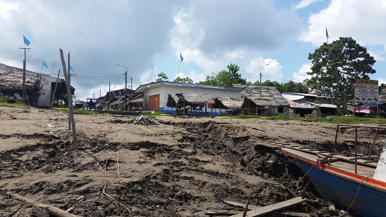 Mud on the banks of the Amazon river.