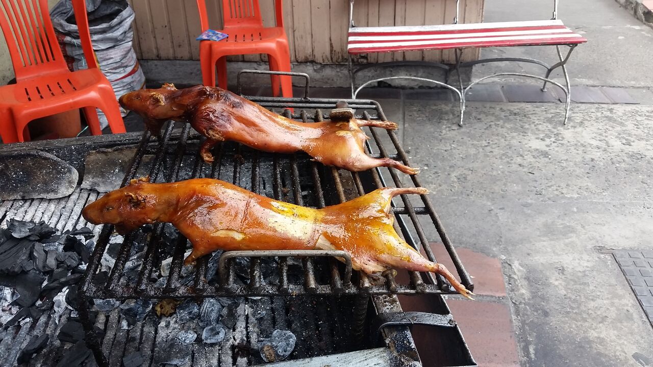 Two dead guinea pigs without fur cooking on a black metal grill.