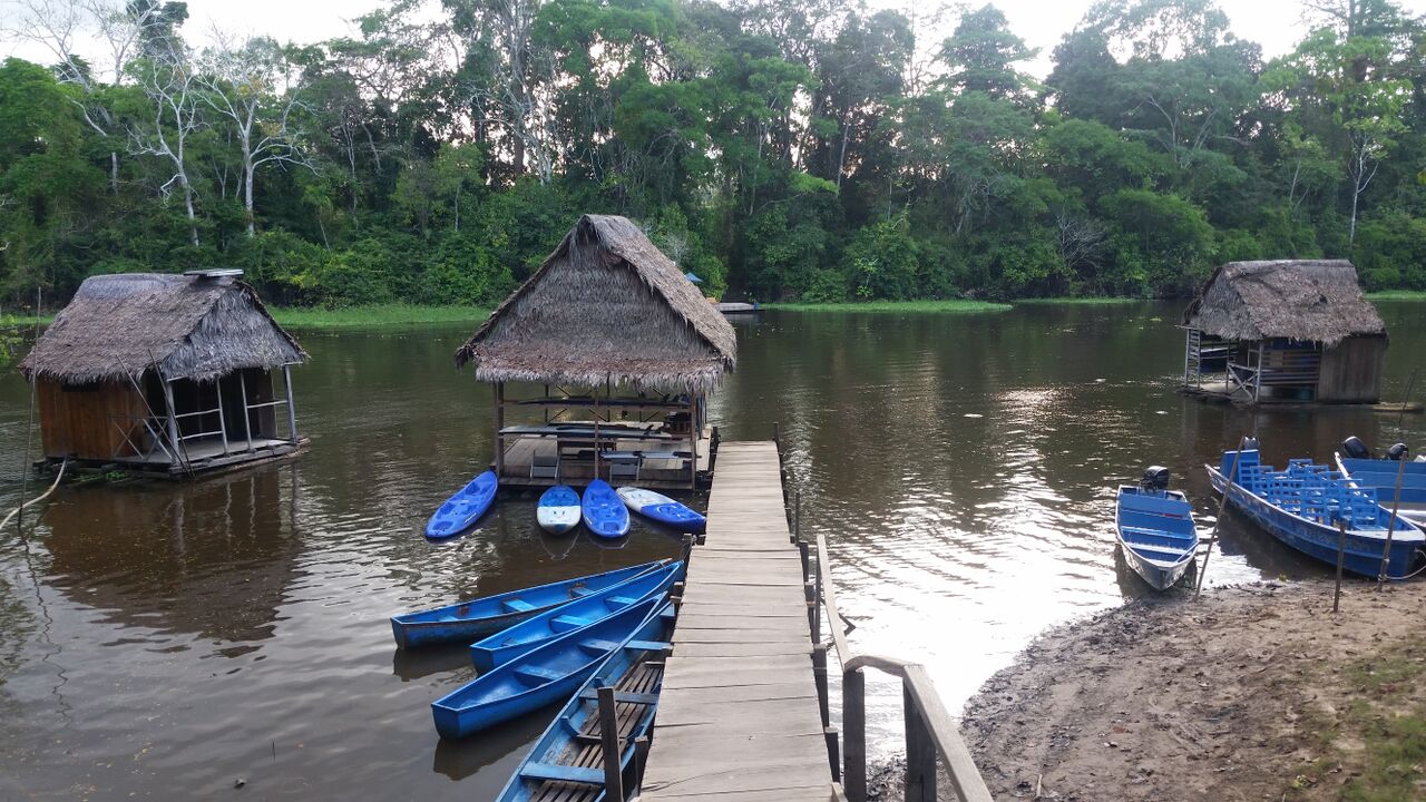 Huts on the water of the Muyuna lodge.