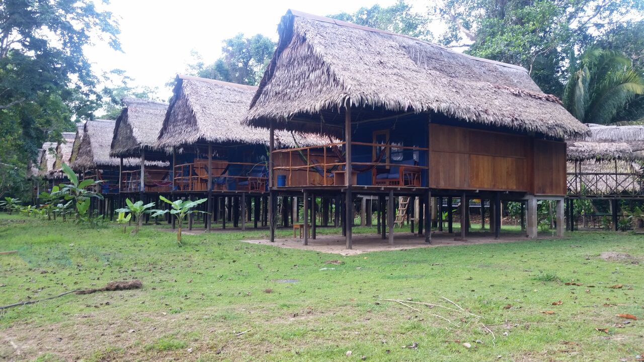 Cabins in the Peruvian Amazon at Muyuna lodge.
