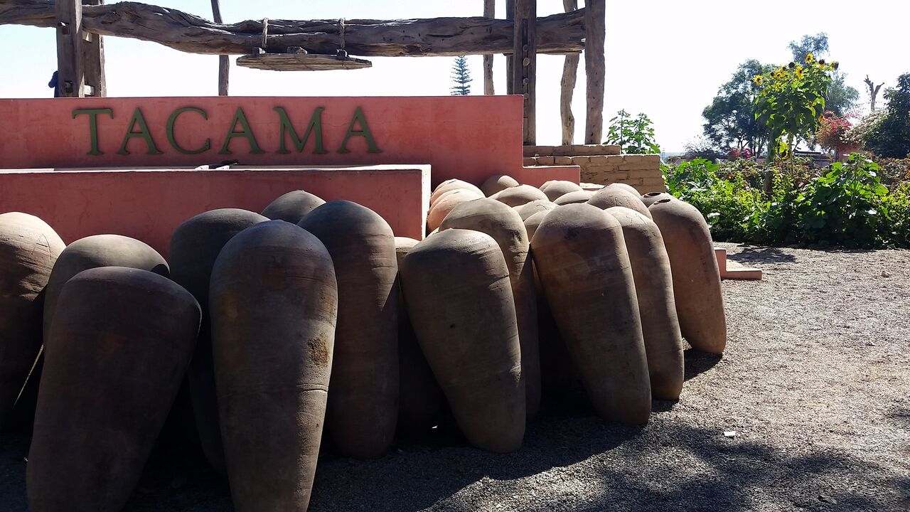 backpackbudget_tacamawinery