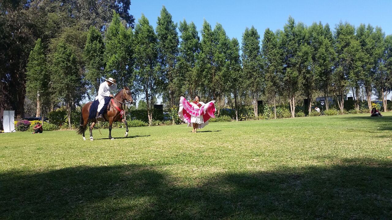 backpackbudget_tacamawinery2