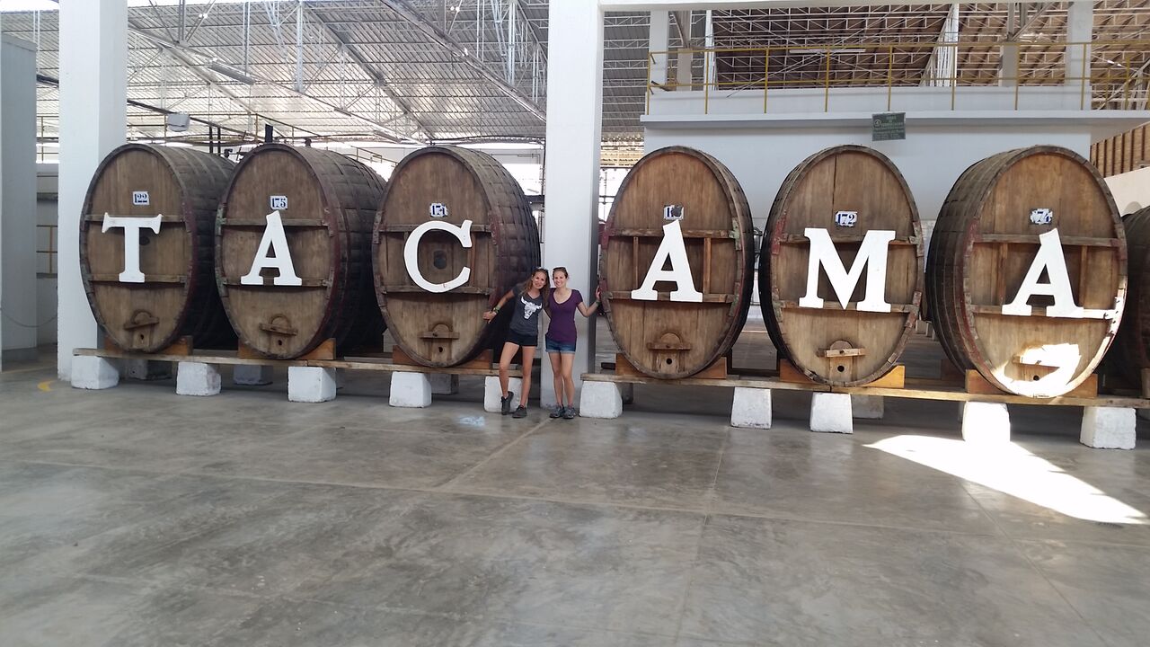 backpackbudget_tacamawinery3