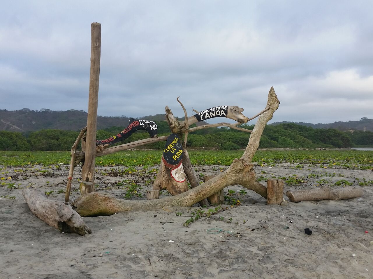 Trees painted with hopeful messages along the beach in Canoa Ecuador.