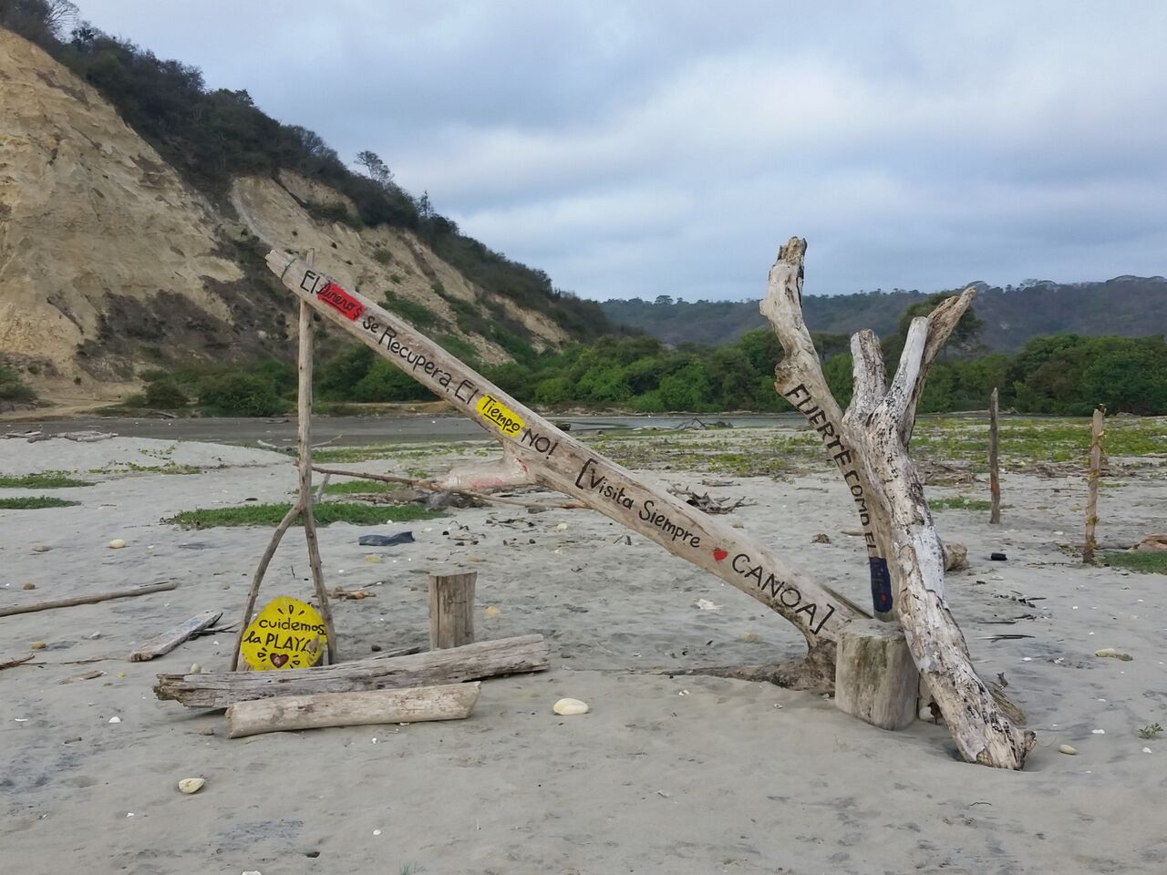 Trees painted with colorful messages along the beach in Canoa Ecuador.