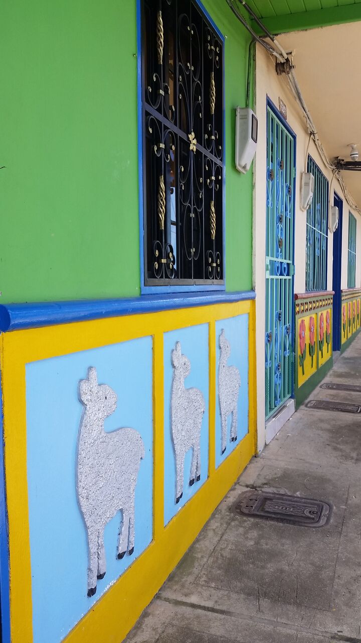 Sheep on a zocalo in Guataupe Colombia.