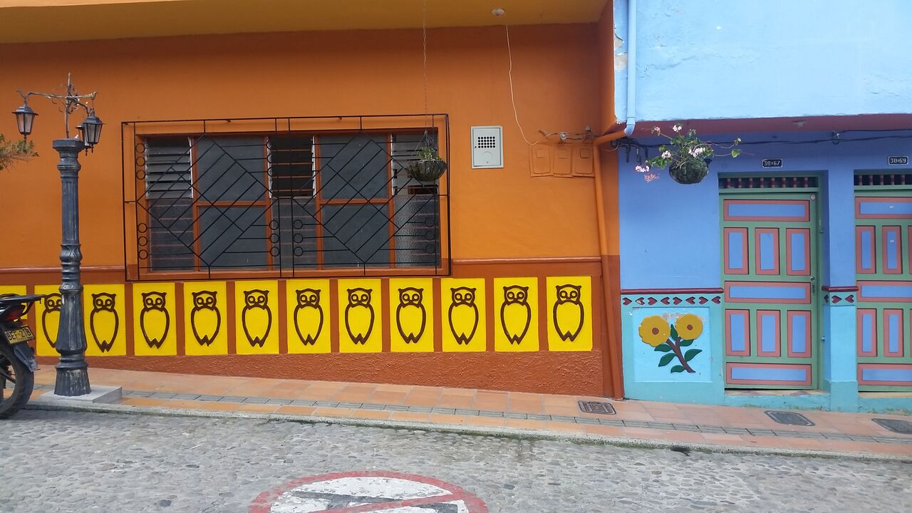 Owls on a zocalo in Guataupe Colombia.