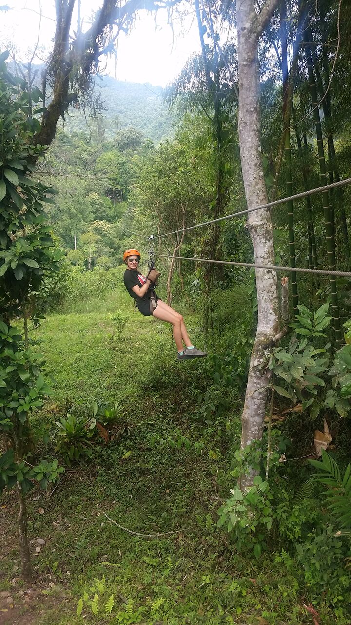 Zipline in canopy in Mindo Ecuador.