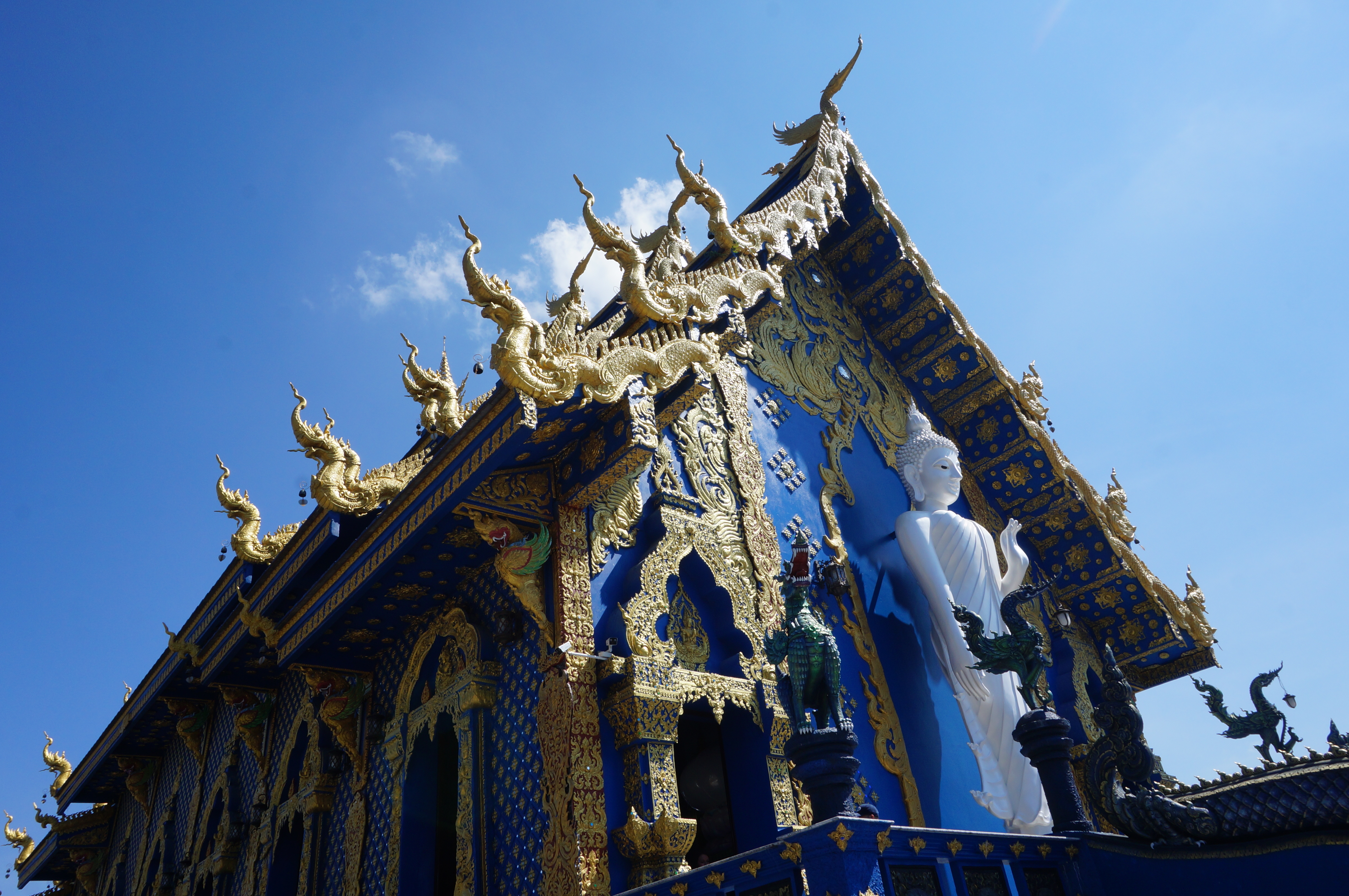 backpackbudge_bluetemple