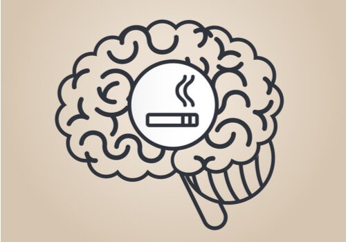 How Does Nicotine Affect The Brain Exploring Your Mind