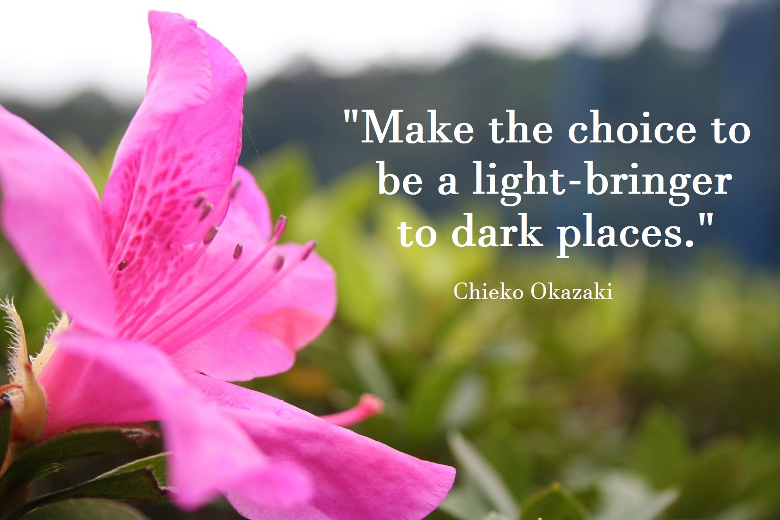 Guest Post: Light-Bringer - Exponent II Blog