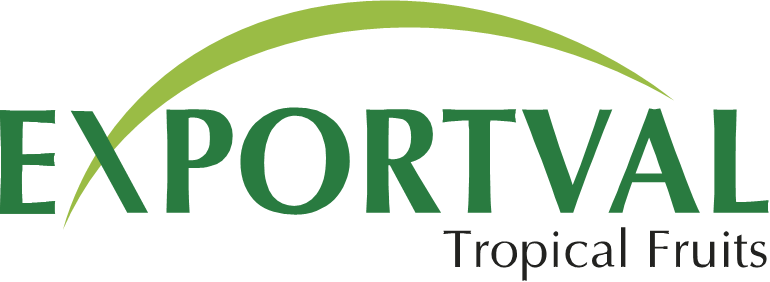 logo_exportval