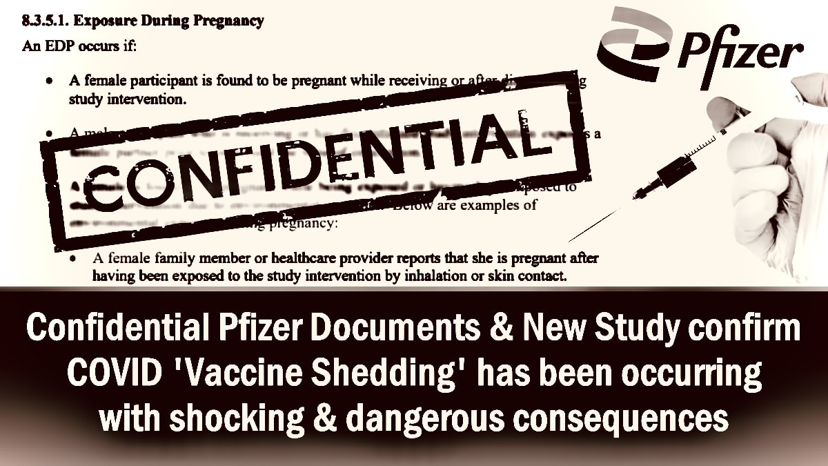 New Study & Confidential Pfizer Documents confirm mRNA ‘Vaccine Shedding’ has been occurring with shockingly dangerous consequences