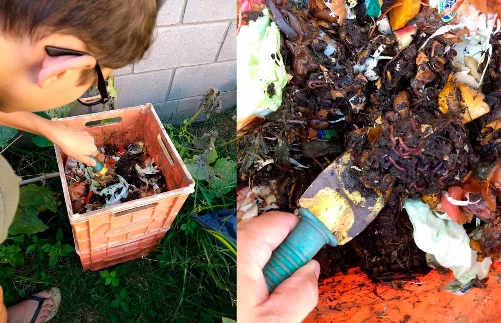 Se alimenta así el suelo, un . Como Hacer Un Compost Con Lombrices En Nuestro Hogar Expresion Norte