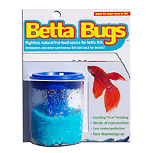 Betta Bug Vial 1 Betta Fish Food