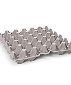 Cricket Egg Crates
