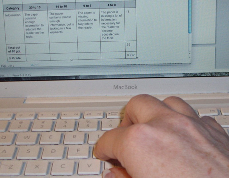 Grade Assessment Ga Feedback - Landscape Illustration Collection - Mobile Quality