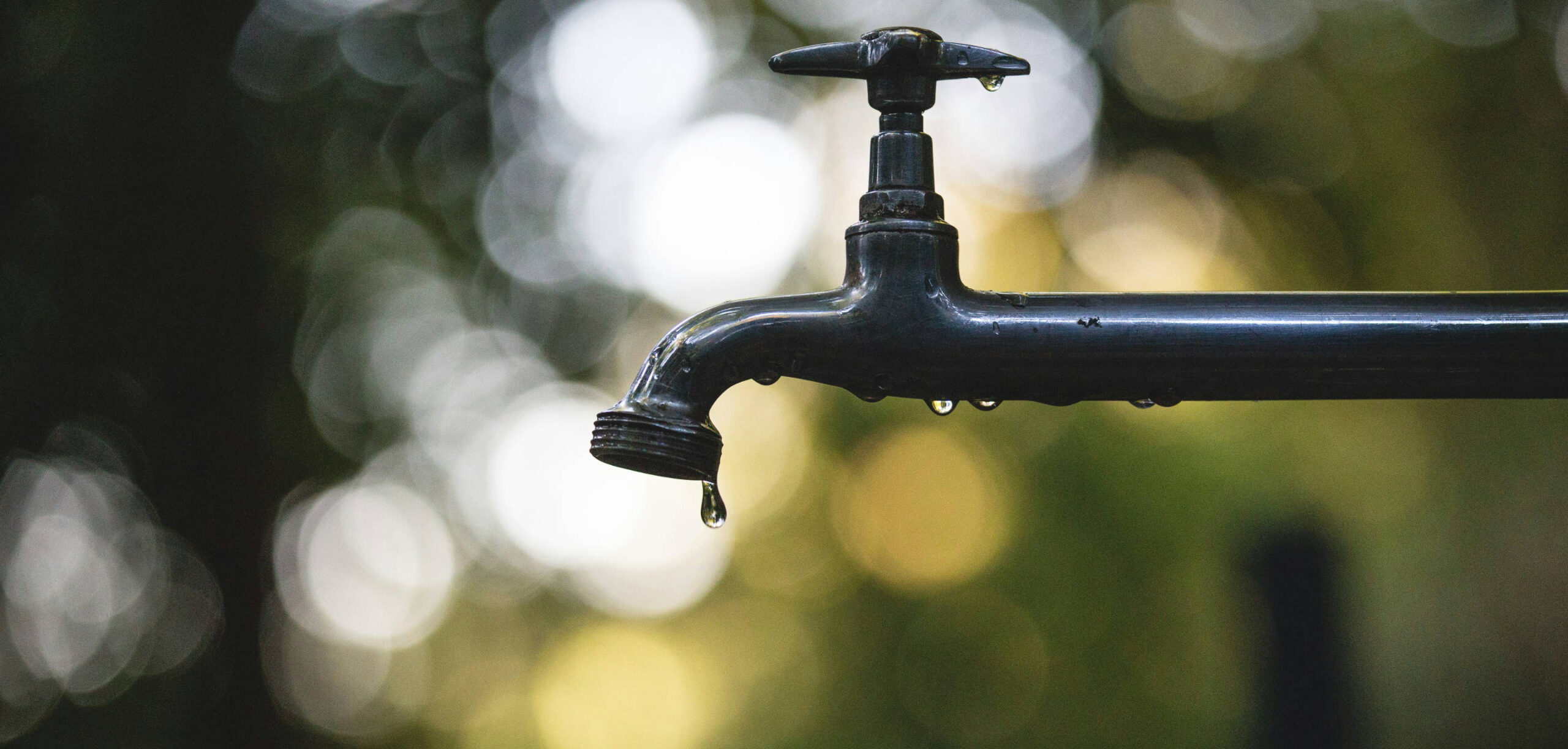 Dripping tap