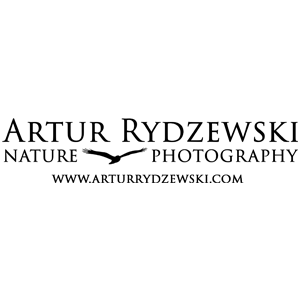 Artur Rydzewski logo