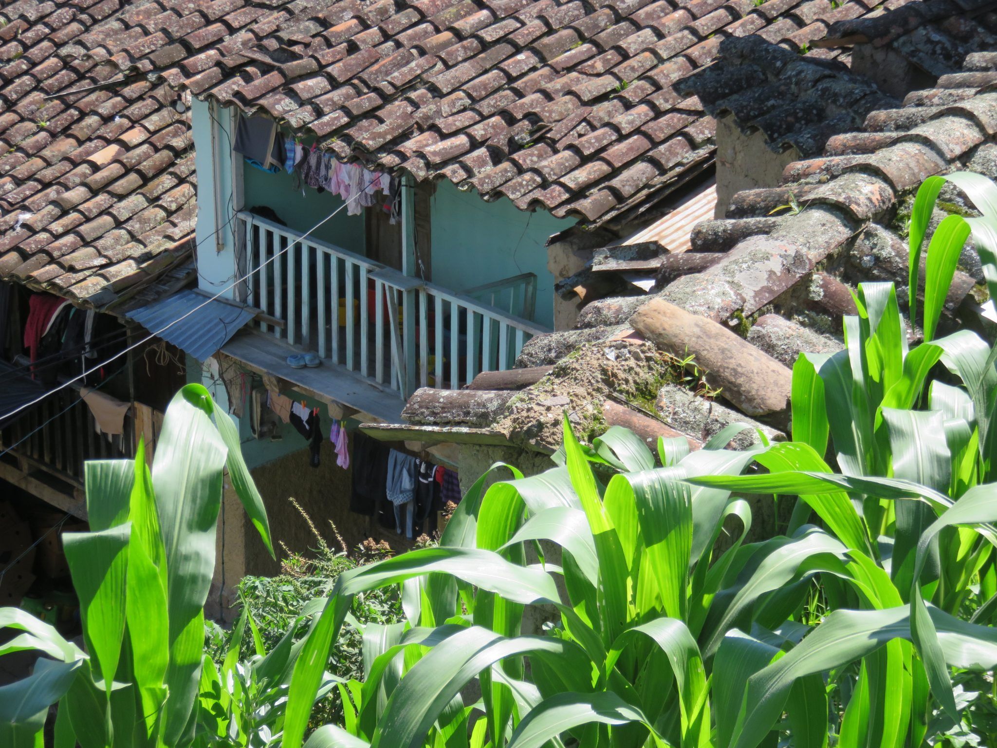 Saraguro, paisaje humano