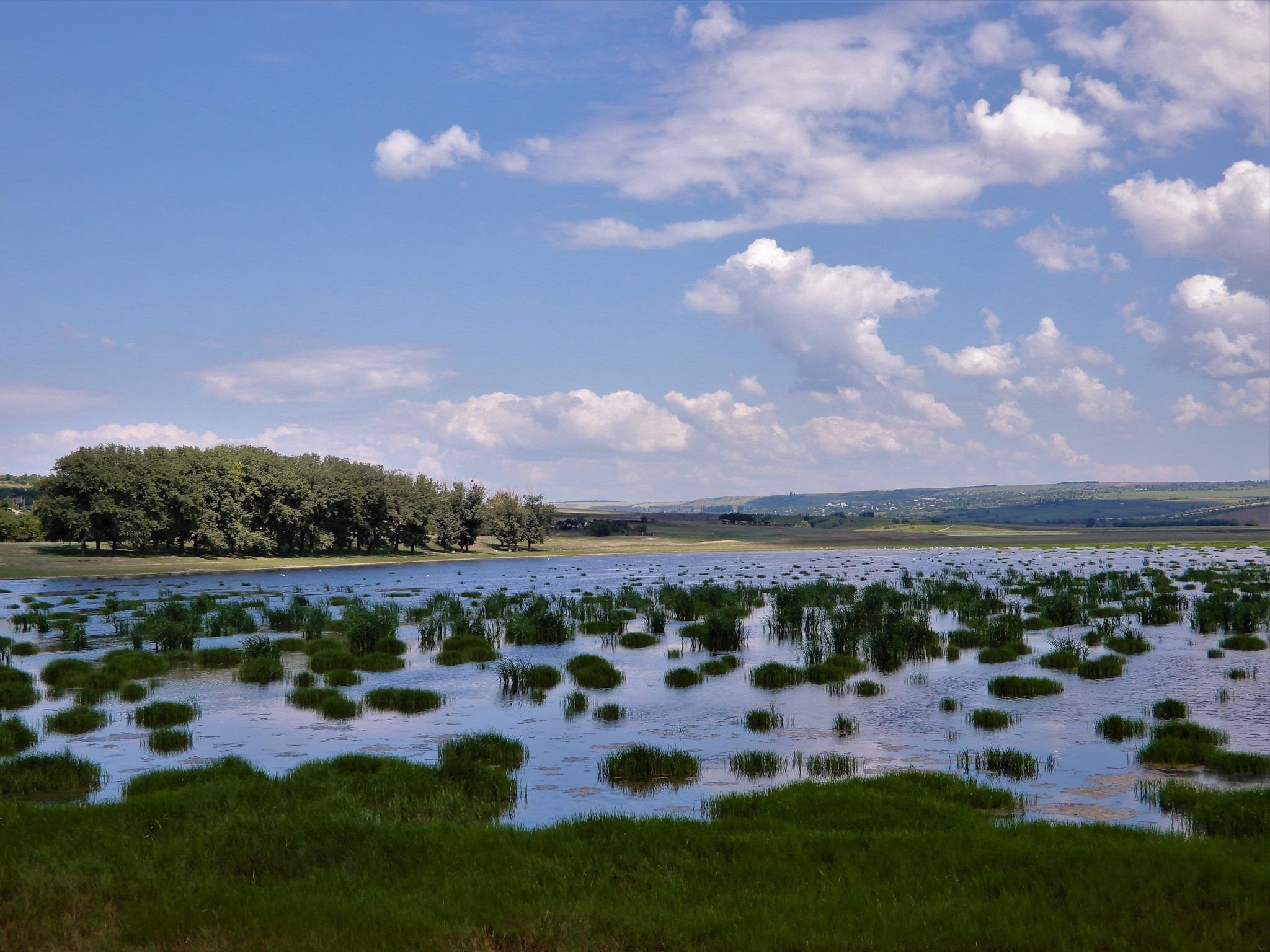 Moldavia, humedal en Scorteni