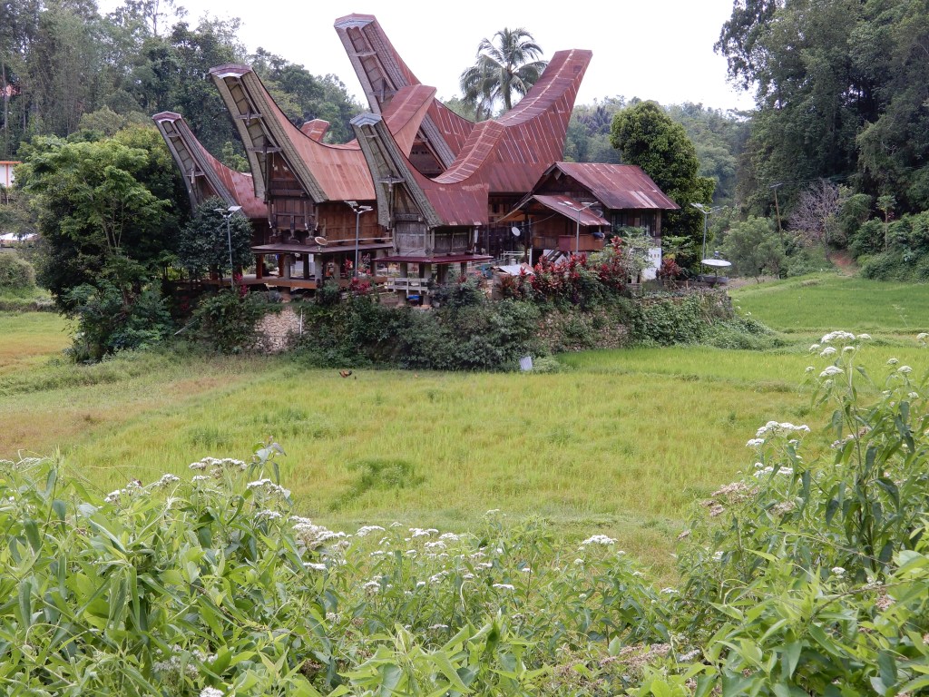 Isla de Sulawesi