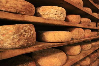 cheese wheels