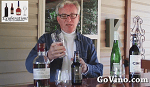 Unbreakable GoVino ‘Glasses’