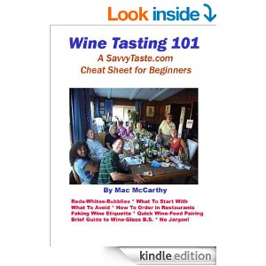 A Wine Tasting How-To Book You Need to Read – WINE TASTING 101 – A cheat sheet for beginners