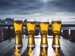 Beer in Buffalo