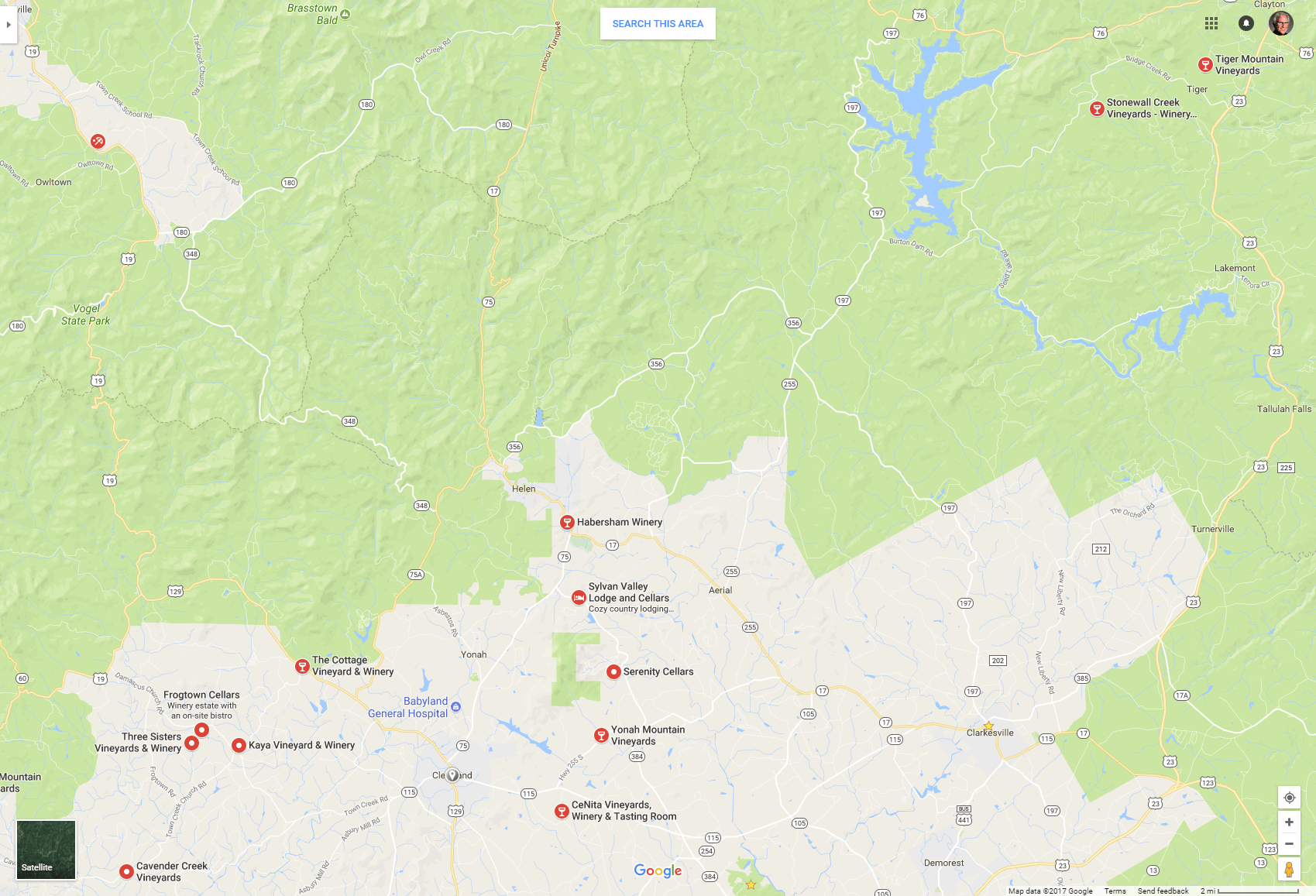 Wineries in NE Georgia