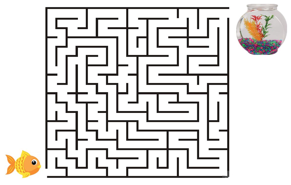 fish bowl maze eye can learn