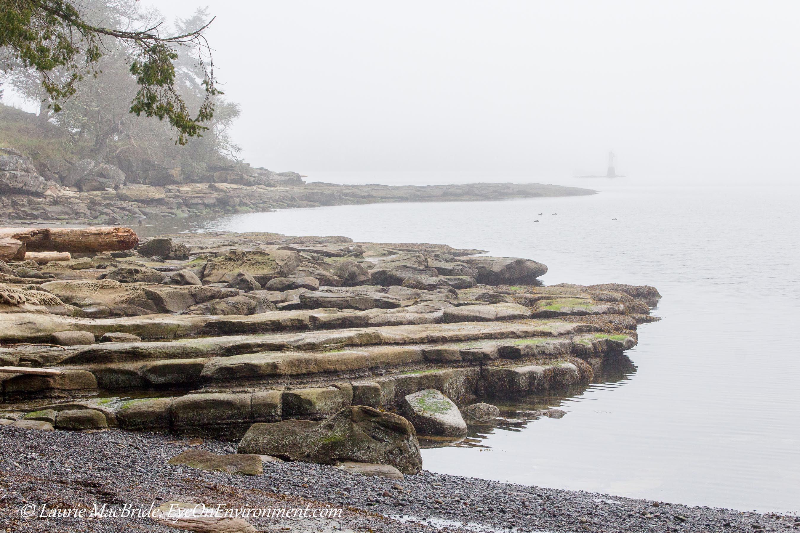 Lines of sandstone ledges in the fog