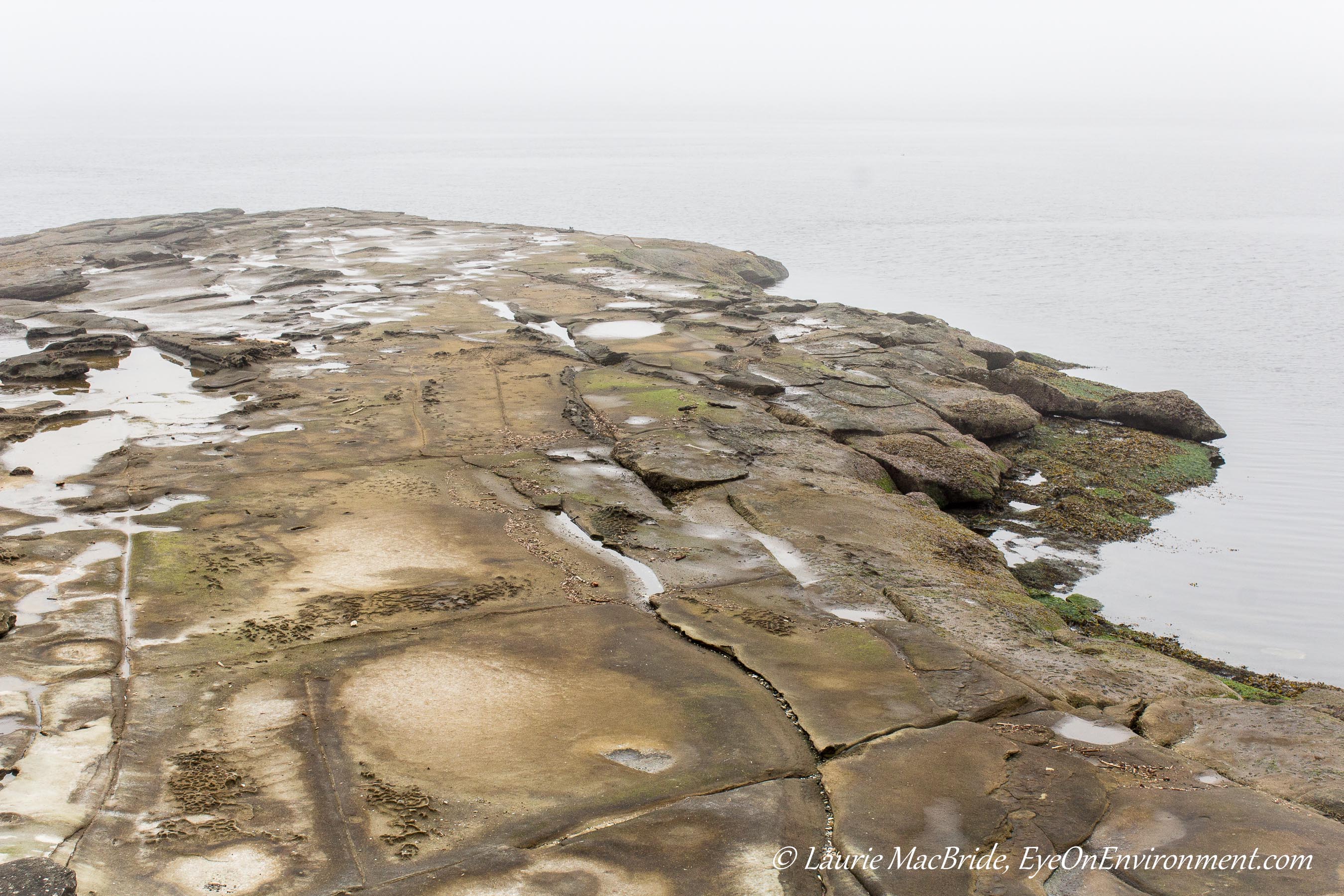 Eroded sandstone beach with fog obscuring the sea and sky beyond