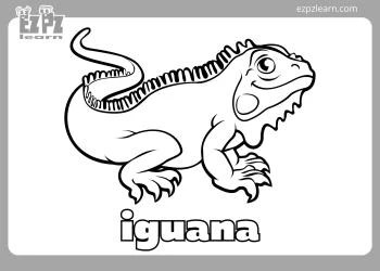 Easy iguana coloring page coloringall. Coloring Ezpzlearn Com