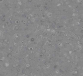 098202