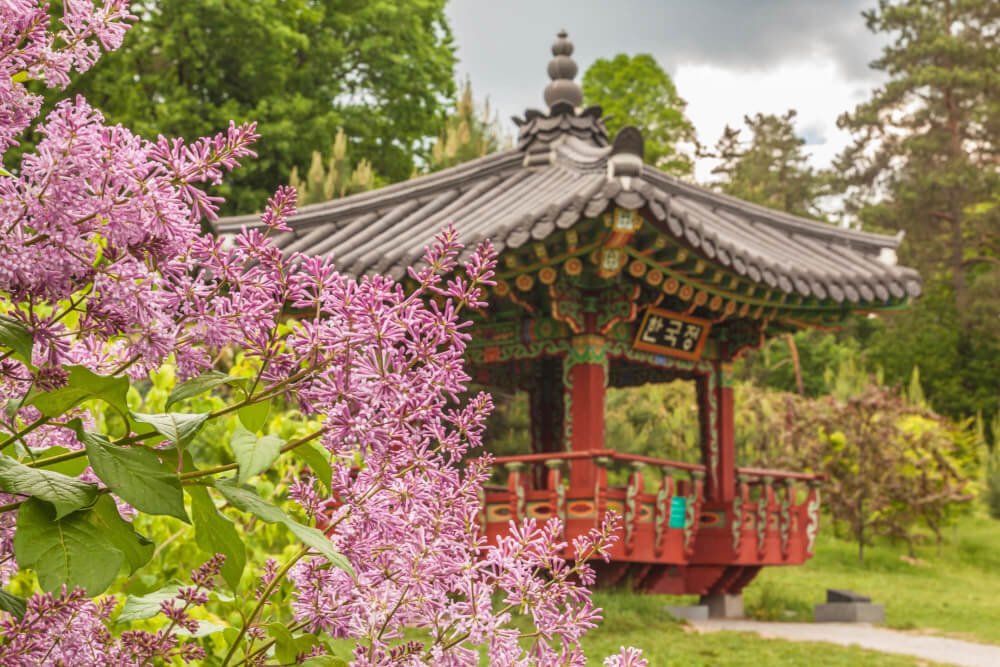 Оранжереи ботанического сада открыты для посещения: Kievskij Botanicheskij Sad Imeni Grishko Kalendar Cveteniya