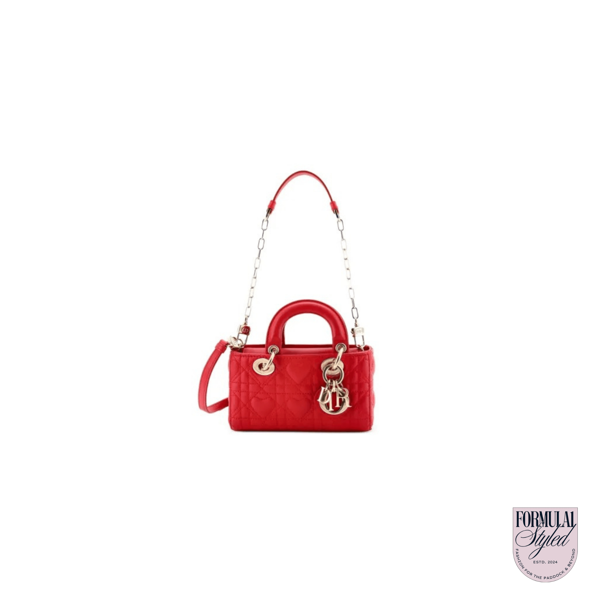 Christian Dior Lady D-Joy Bag