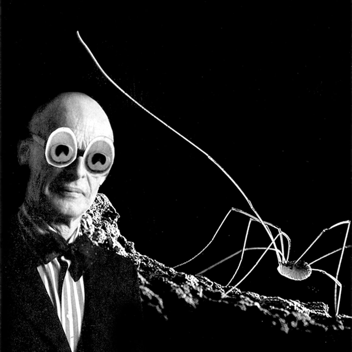 Travelers Insurance Tips Tricks Pool Safety Facebook