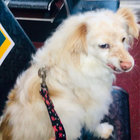 Our debut lp “a portal for spirits” is out friday! A Portal For Spirits Rutterkin